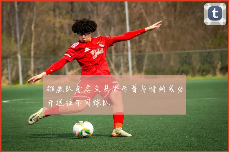 雄鹿队考虑交易字母哥与特纳或分开送往不同球队
